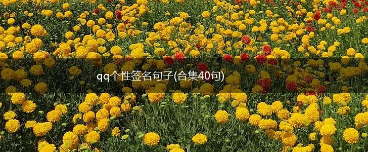 qq个性签名句子(合集40句),第1张