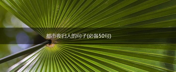 都市夜归人的句子(必备50句),第1张