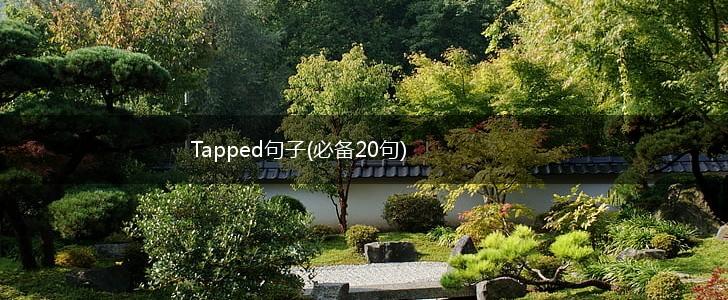 Tapped句子(必备20句),第1张