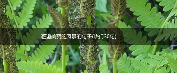 邂逅美丽的风景的句子(热门30句),第1张