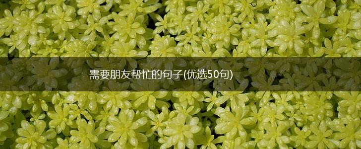 需要朋友帮忙的句子(优选50句),第1张