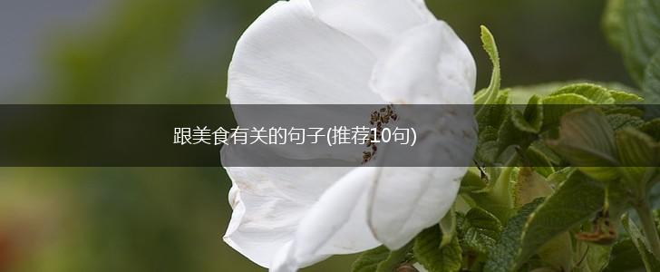 跟美食有关的句子(推荐10句),第1张