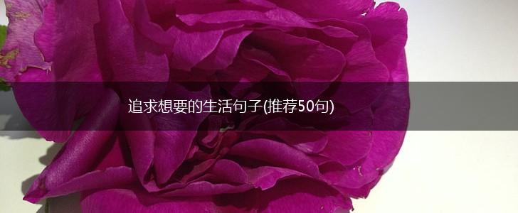 追求想要的生活句子(推荐50句),第1张