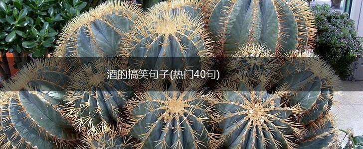 酒的搞笑句子(热门40句),第1张