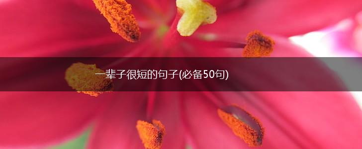 一辈子很短的句子(必备50句),第1张