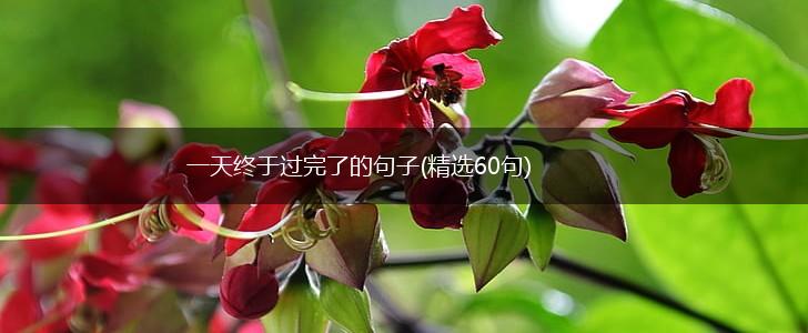 一天终于过完了的句子(精选60句),第1张