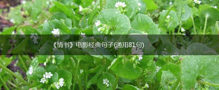 《情书》电影经典句子(通用81句),第1张