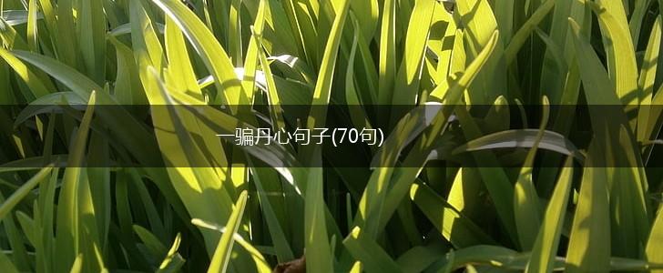 一骗丹心句子(70句),第1张