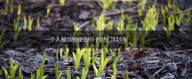 一个人被当枪使的句子(热门51句),第1张