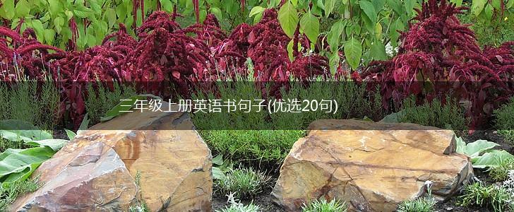 三年级上册英语书句子(优选20句),第1张