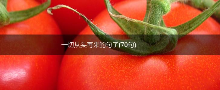 一切从头再来的句子(70句),第1张