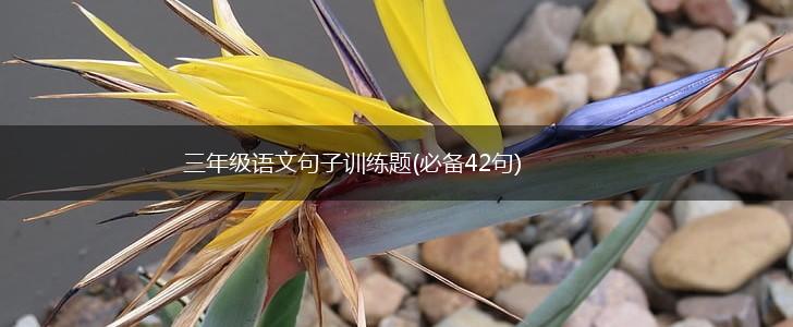 三年级语文句子训练题(必备42句),第1张