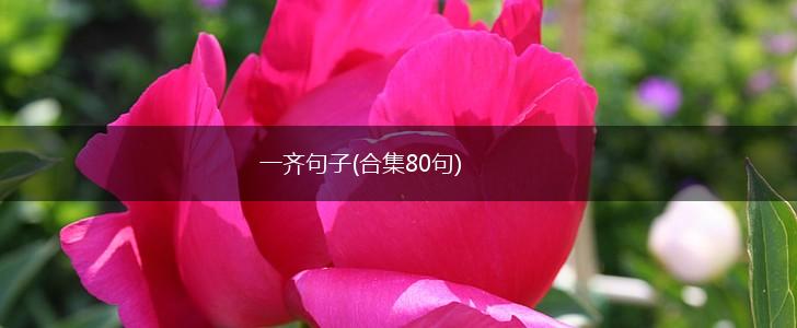 一齐句子(合集80句),第1张
