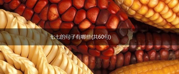 七七的句子有哪些(共60句),第1张