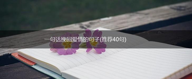 一句话挽回爱情的句子(推荐40句),第1张