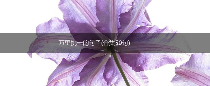 万里挑一的句子(合集50句),第1张