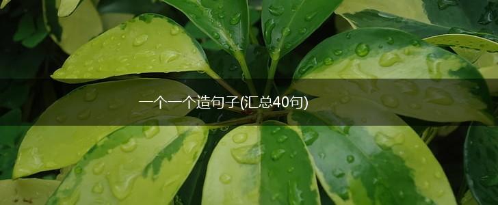 一个一个造句子(汇总40句),第1张