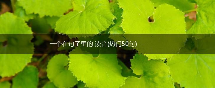 一个在句子里的 读音(热门50句),第1张