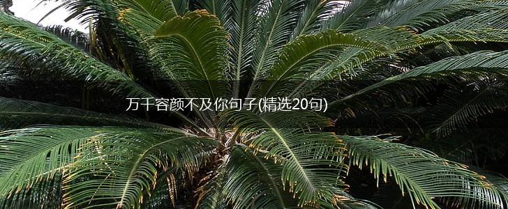 万千容颜不及你句子(精选20句),第1张