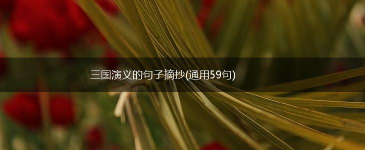 三国演义的句子摘抄(通用59句),第1张
