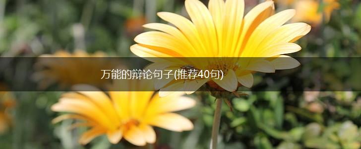 万能的辩论句子(推荐40句),第1张