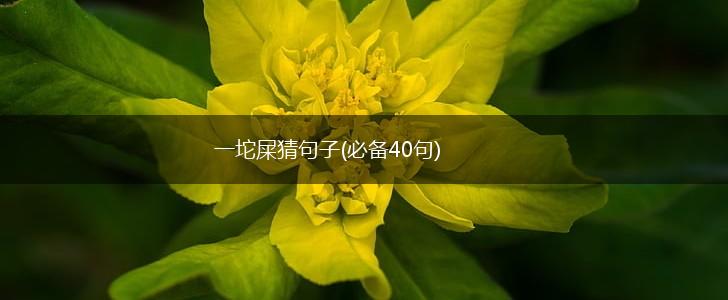 一坨屎猜句子(必备40句),第1张