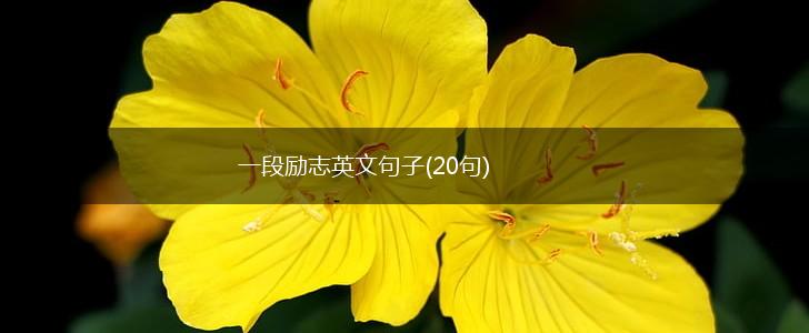 一段励志英文句子(20句),第1张