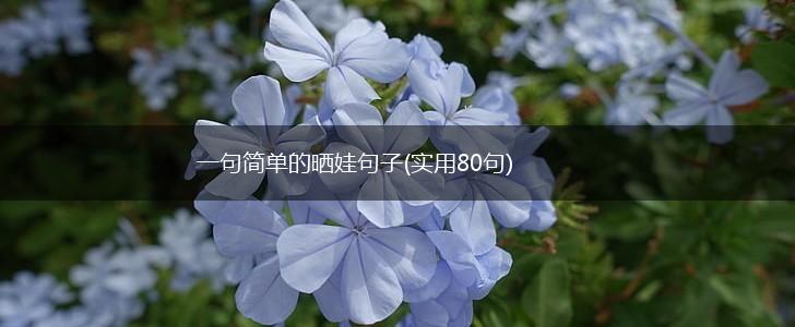 一句简单的晒娃句子(实用80句),第1张