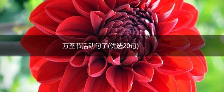 万圣节活动句子(优选20句),第1张