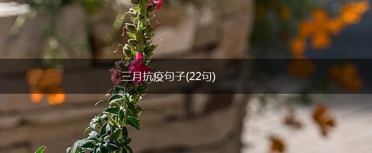 三月抗疫句子(22句),第1张