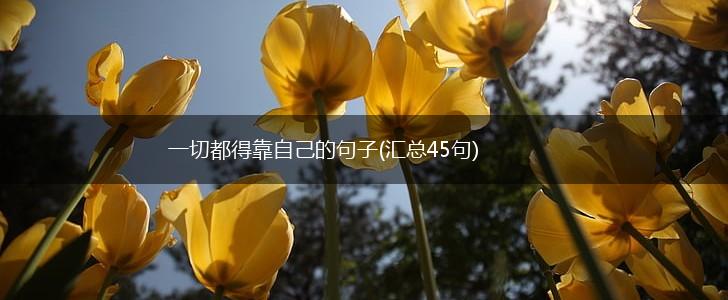 一切都得靠自己的句子(汇总45句),第1张