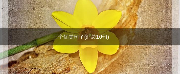 三个优美句子(汇总10句),第1张
