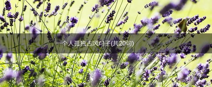 一个人孤独古风句子(共20句),第1张