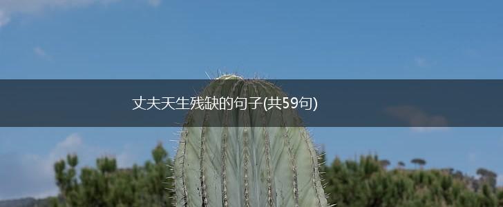 丈夫天生残缺的句子(共59句),第1张