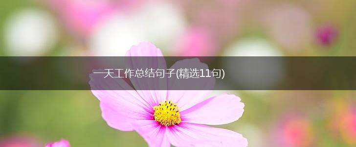 一天工作总结句子(精选11句),第1张