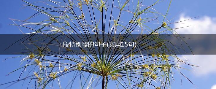 一段特别嗲的句子(实用15句),第1张