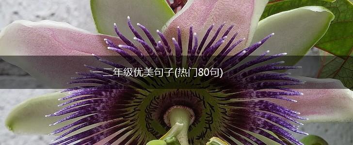 一二年级优美句子(热门80句),第1张