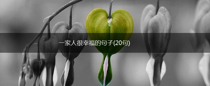 一家人很幸福的句子(20句),第1张