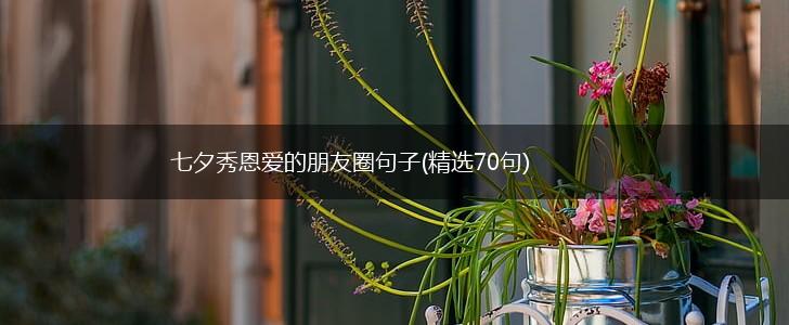 七夕秀恩爱的朋友圈句子(精选70句),第1张
