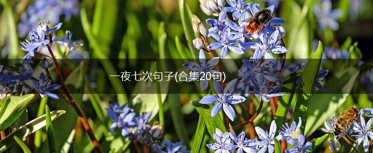 一夜七次句子(合集20句),第1张