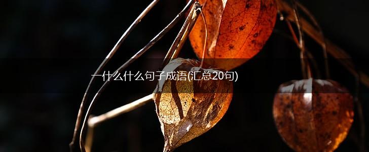 一什么什么句子成语(汇总20句),第1张