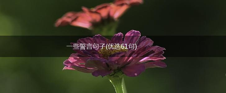 一些誓言句子(优选61句),第1张