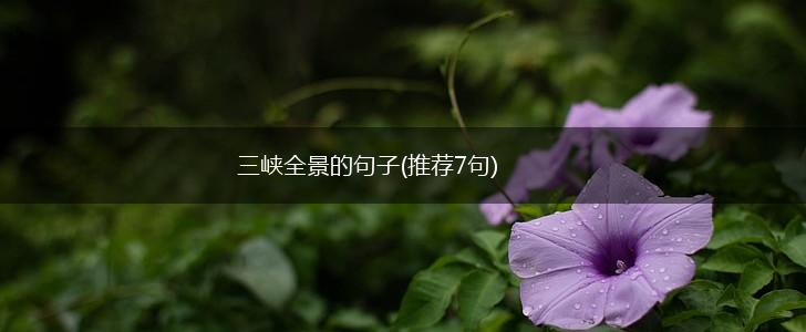 三峡全景的句子(推荐7句),第1张