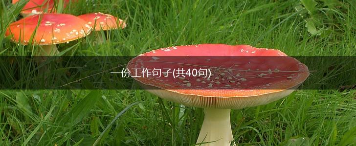 一份工作句子(共40句),第1张