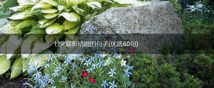 七夕宣布结婚的句子(优选60句),第1张