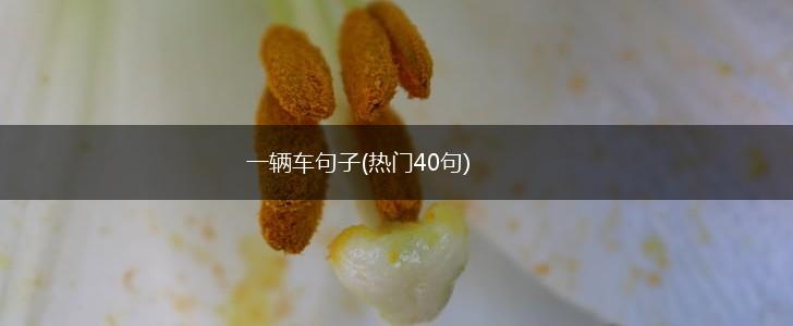 一辆车句子(热门40句),第1张