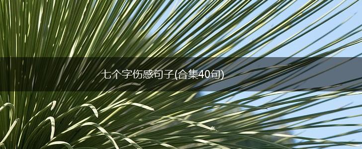 七个字伤感句子(合集40句),第1张