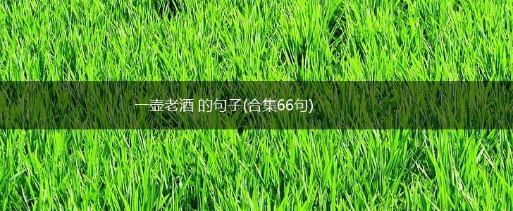 一壶老酒 的句子(合集66句),第1张