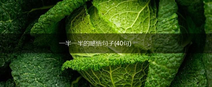 一半一半的感悟句子(40句),第1张