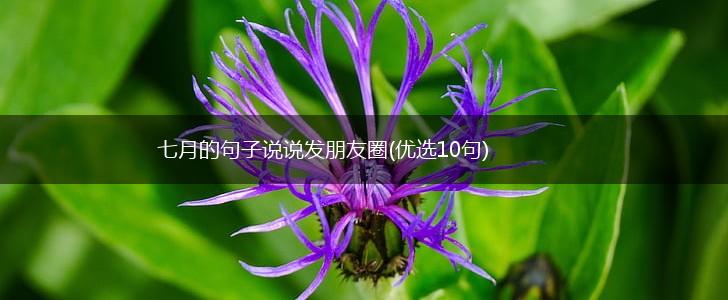 七月的句子说说发朋友圈(优选10句),第1张